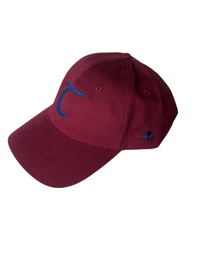 Thumbnail for Tonn Baseball Cap Wine